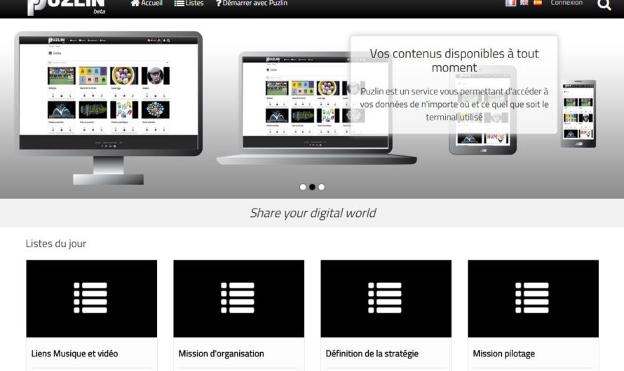 Puzlin, un petit nouveau dans la curation