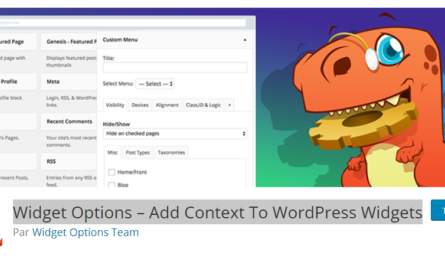 Widget Options - Add Context To WordPress Widgets