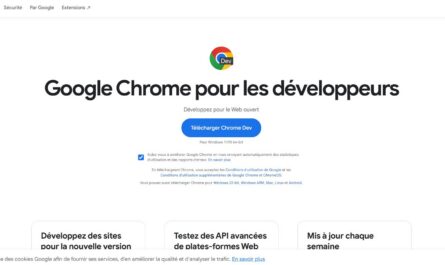 Google chrome pour les developpeurs