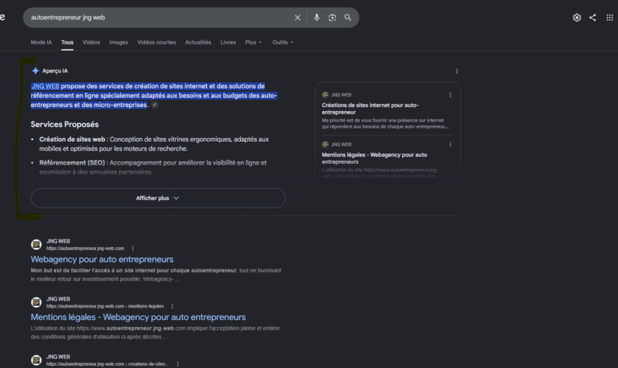 Comment désactiver les Aperçus IA (AI Overviews) dans Google ?